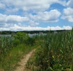 Walk to Great Pond at Roads End