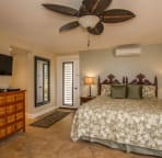 Second bedroom with cal-king bed and twin sofa sleeper