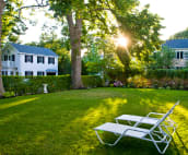 Large Backyard