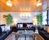 Lounge with sofas