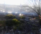 Garden area of patio.