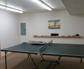 Table tennis anyone?