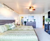 Master bedroom, includes air conditioning, ceiling fan, widescreen TV and sound bar.