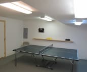 Ping Pong Room