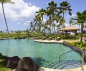 Lagoon Pool (Kids and family friendly)