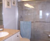 Private master suite bathroom with large tiled shower