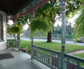 View from Front Porch