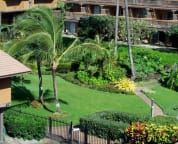 View looking down on the tropical grounds, vivid green