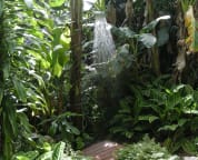 Outdoor Shower