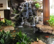 Waikiki Banyan Lobby Koi pond