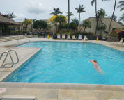Front Pool - Good for Laps!
