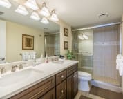 Master bath with walk-in shower. Quartz counter top with double sinks