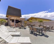 Rooftop Garden