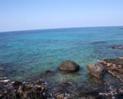 Another perfect Kona day at Hale Honu