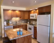 Fully equipped kitchen with large and small appliances.
