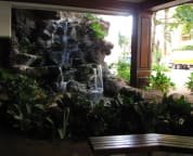 Waikiki Banyan Lobby area
