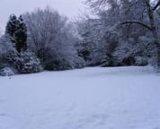 Winter magic