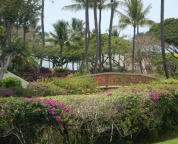 Wooden bridge leading to front pool out from our back lanai.