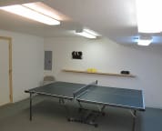 Ping Pong Room