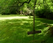 Huge garden