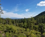 Hiking nearby Barefoot Trail
