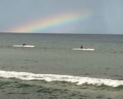 from the lanai