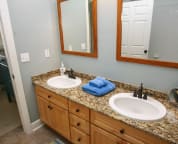 His & Hers Master Vanity