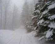 Giles Road - Lane in Winter