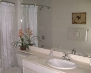 Large master bathroom - with tub and shower plus two sinks