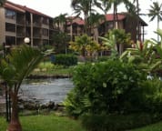 Koi Ponds and walking paths