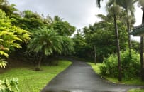 Driveway is very private