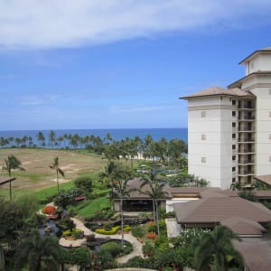 View from Lanai
