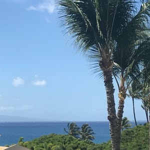 View from the lanai...(close up lens used) Enjoy meals while watching for whales.