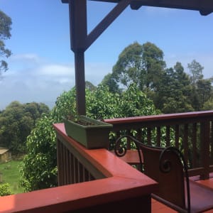 View of the ocean and yard from the deck
