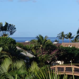 Ocean & Garden View from Large Spacious Lanai. All New A/C's & Major Appliances