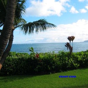 Panoramic views of the North Shore