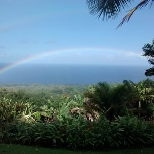 Ocean View Rainforest Cottage