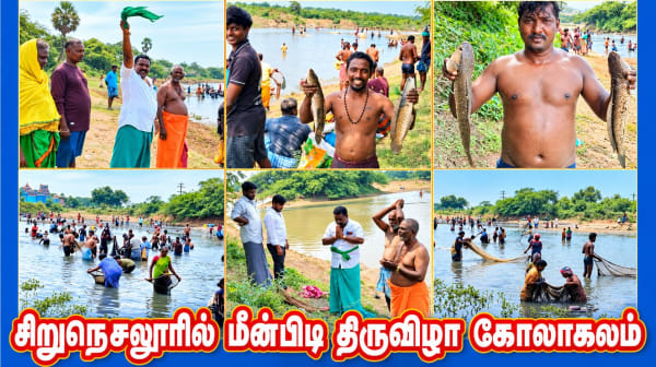சிறுநெசலூரில் மீன்பிடி திருவிழா கோலாகலம்