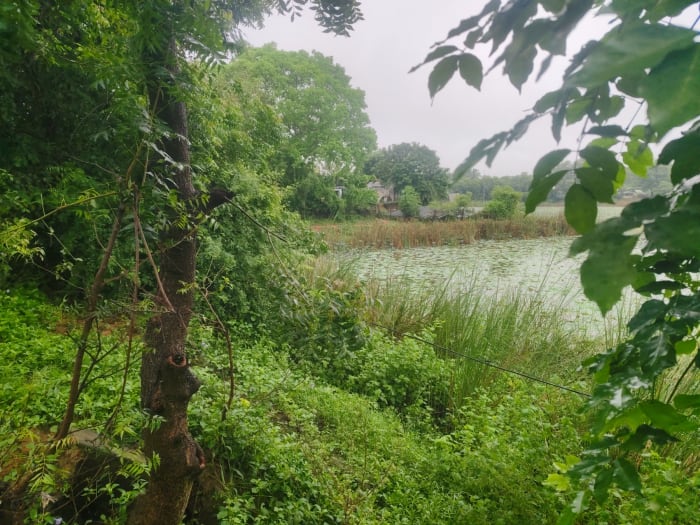 குப்பநத்தம் பகுதியில் பலத்த மழை