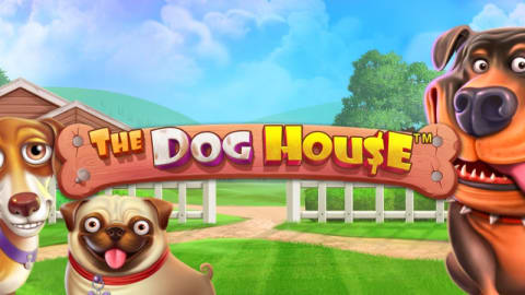 Dog House