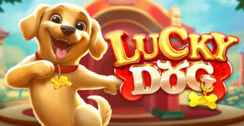 Lucky Dog
