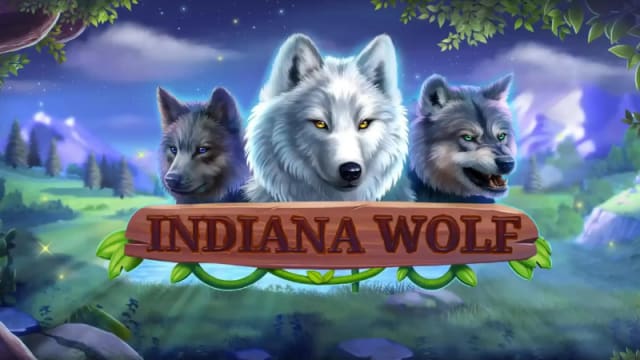 Indiana Wolf — Habanero