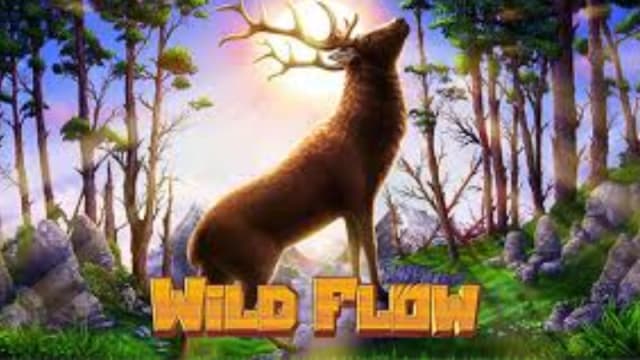 Wild Flow — Habanero