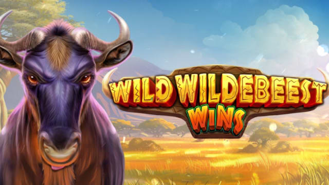 Wild Wildebeest Wins — Pragmatic Play