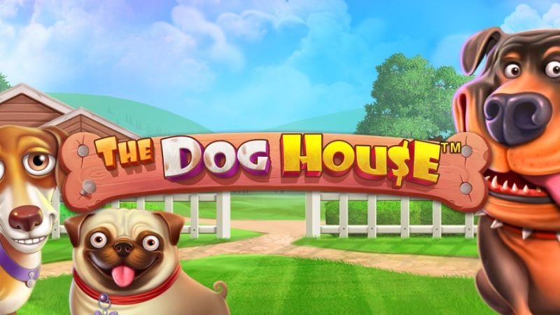 The Dog House