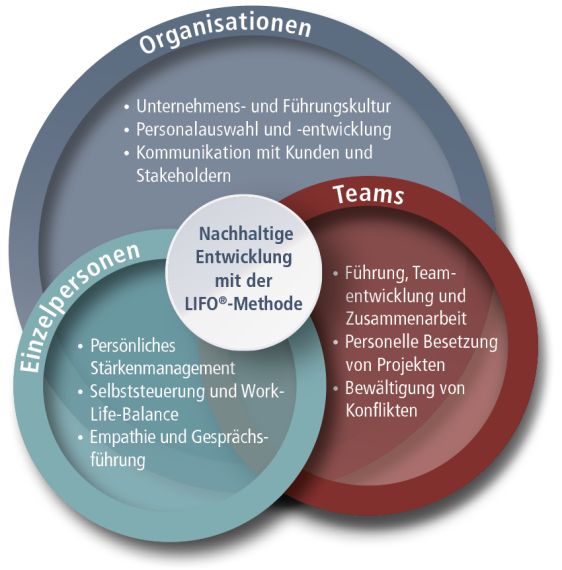 Organisation, Team, Einzelperson