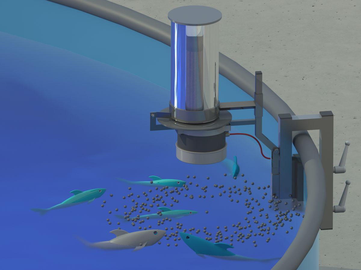 automatic feeding system for aquaculture