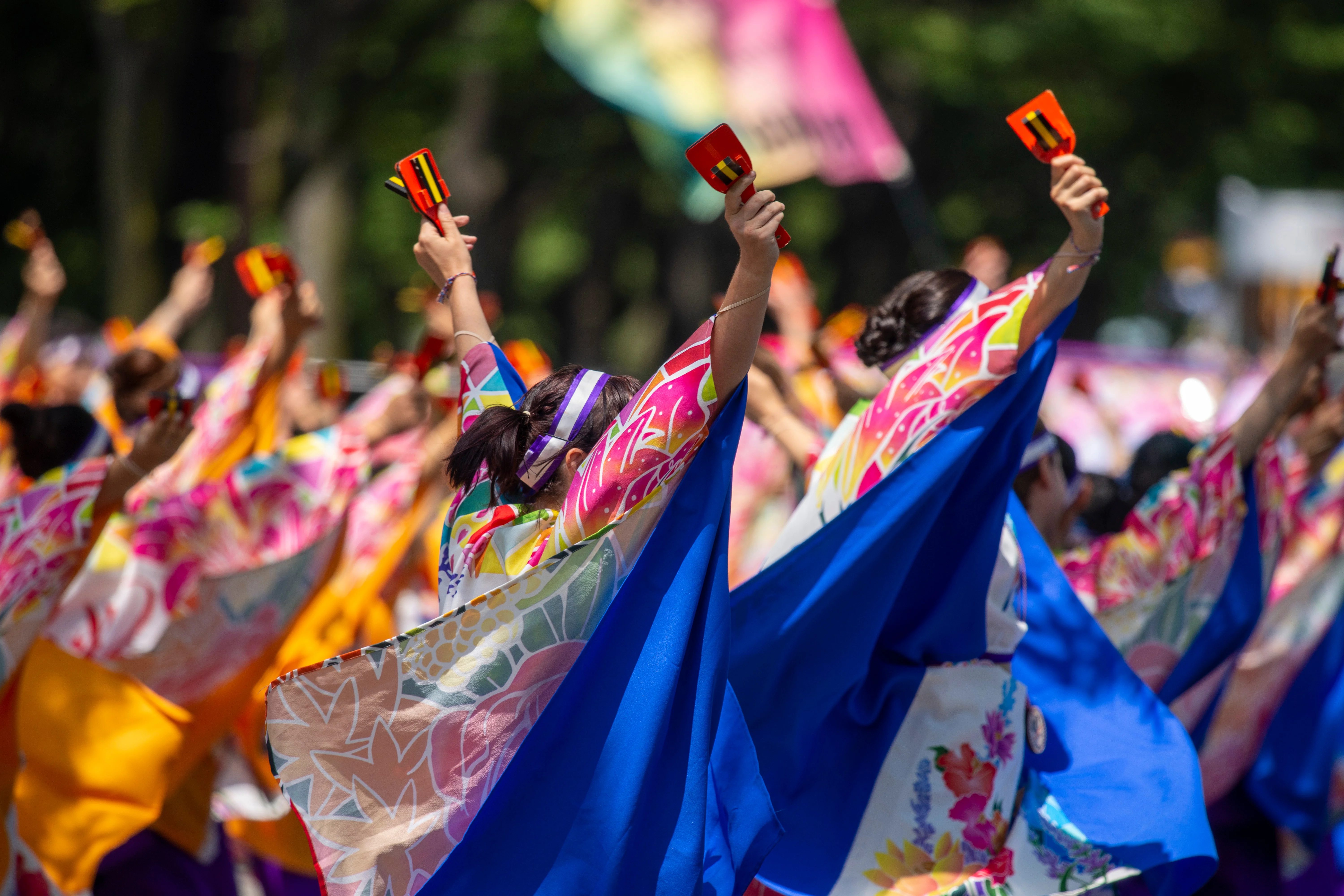 よさこいとしきページ 61lsqf80MvL._UF350,350_QL50_.jpg