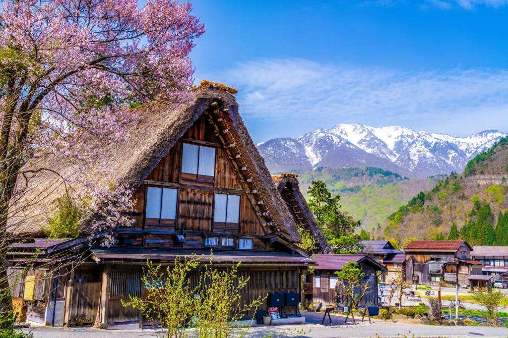 世界遺産「白川郷」と春の絶景を巡るドライブ旅 - OMO5金沢片町 | 星野