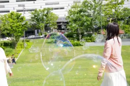 IMGP4485_ribg7g.webp